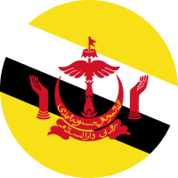 Brunei Dollar flag