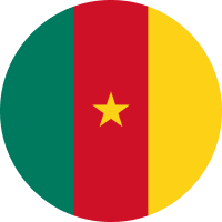 Central African CFA Franc flag