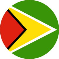 Guyanese Dollar flag