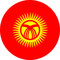 Kyrgystani Som flag