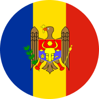 Moldovan Leu flag