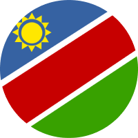 Namibian Dollar flag