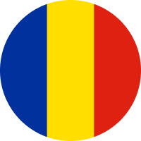 Romanian Leu flag