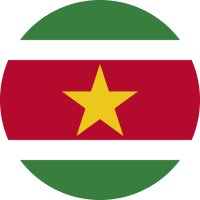 Surinamese Dollar flag