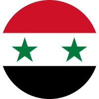 Syrian Pound flag