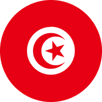 Tunisian Dinar flag