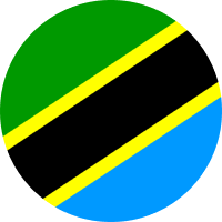 Tanzanian Shilling flag