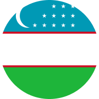 Uzbekistani Som flag