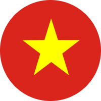 Vietnamese Dong flag